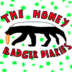 The Honey Badver Diaries Episode 33: Leo Wandersleb, Viña del Mar (Chile)