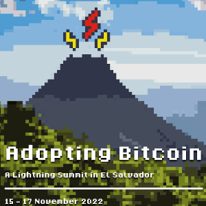 Adopting Bitcoin 2022 The Wallets we use: What could possibly go wrong?